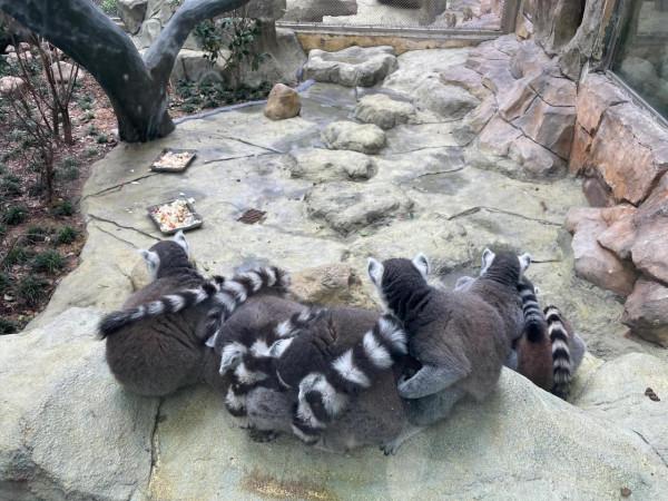 和動物們在一起 和動物們在一起