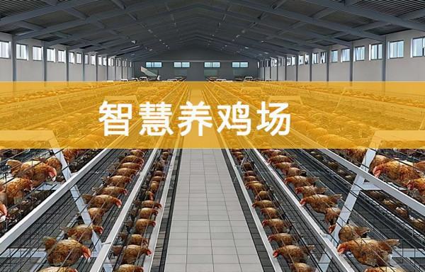 智慧養殖APP開發主要涉及哪些方面？