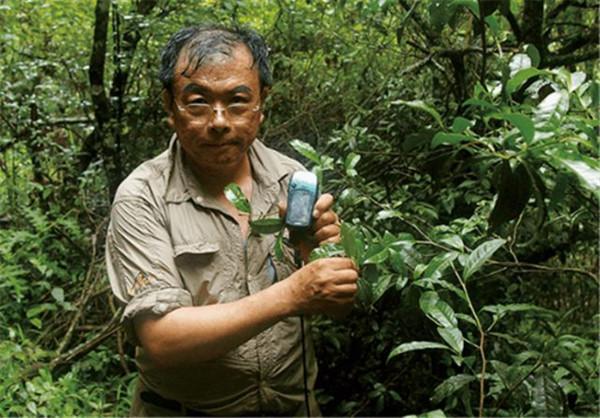 專家在1997年曾對“猴娃”曾繁勝的遺骨進行檢測,結果如何? 專家在1997年曾對“猴娃”曾繁勝的遺骨進行檢測,結果如何?