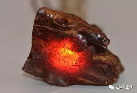 左巖珠寶課:關於血珀,你想了解的全在這兒 左巖珠寶課:關於血珀,你想了解的全在這兒