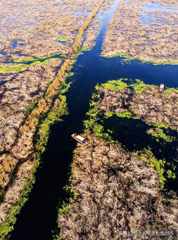溼潤中國，華北重回水鄉？