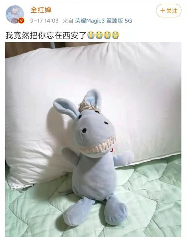 追光|在全運村丟個小毛驢試試?分分鐘找回來 追光|在全運村丟個小毛驢試試?分分鐘找回來