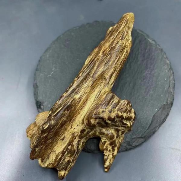 越南蜜香鐵結樹心