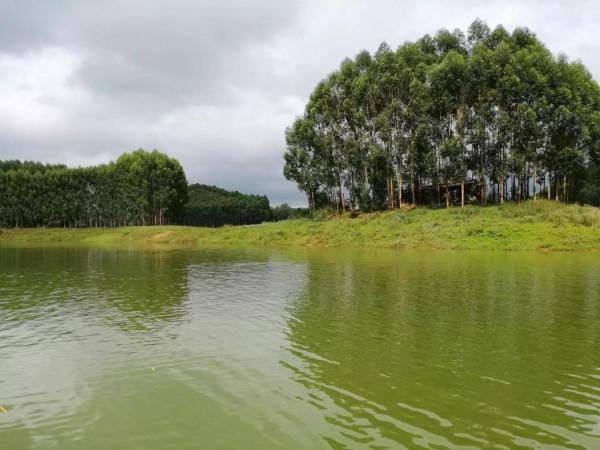 怎麼樣釣魚魚易上鉤