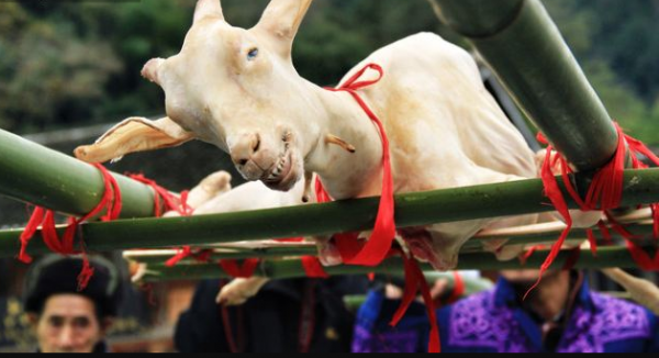 貴州有個與世無爭景點,不但文化厚重,還擁有千年美味食物 貴州有個與世無爭景點,不但文化厚重,還擁有千年美味食物