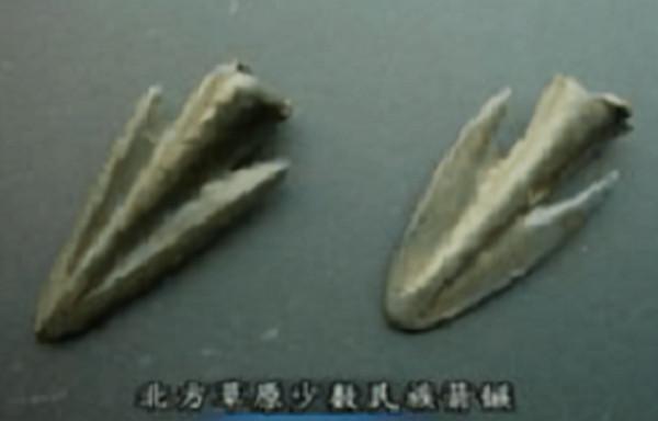 古代打仗弓箭箭桿用啥材料最好？為何古埃及人用蘆葦做箭桿