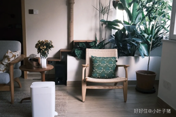 看完她家，才發現我對79㎡的潛力一無所知