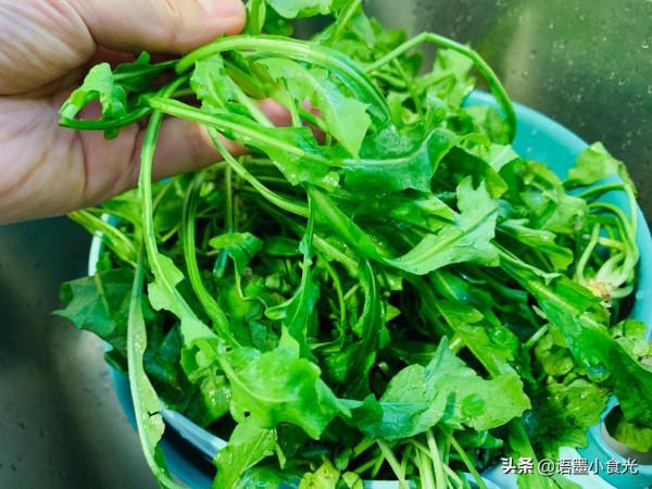 蘇北這菜正新鮮，抓緊吃，九元一斤，買兩斤包餃子，味真好