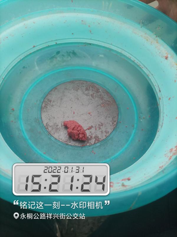 新年新氣象，虎年首釣完美爆護