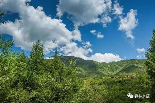 房山這個鄉鎮又迎新機遇！將在這裡打造“一蜂一谷一基地”