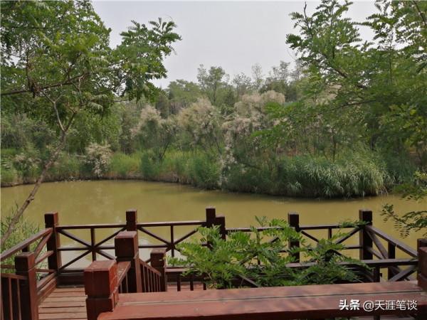 塘沽免費公園值得遊，順其自然地體驗，領略不一樣風景
