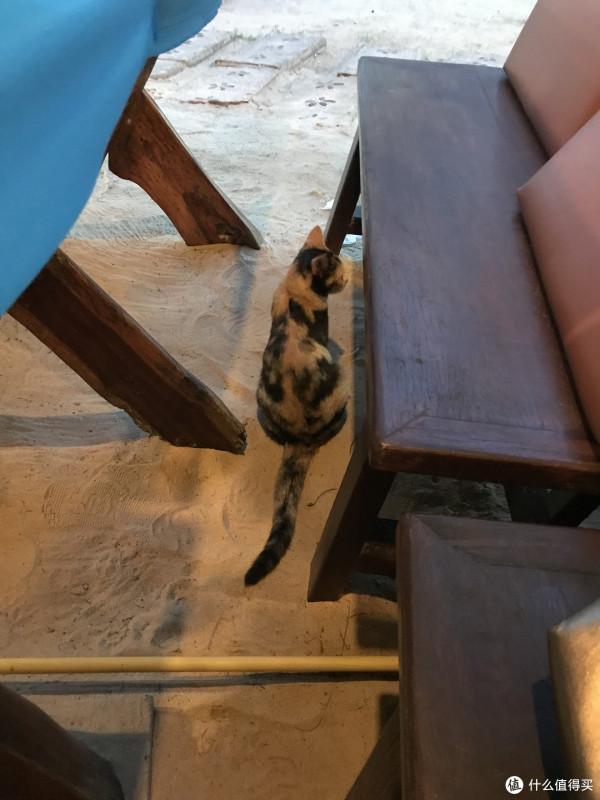 紀念一下普吉島最美海灘,奈涵,還有那奈涵最美酒店 紀念一下普吉島最美海灘,奈涵,還有那奈涵最美酒店