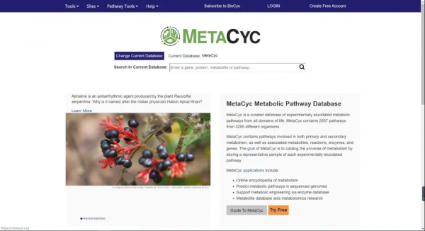 科普 | 從二氧化碳制澱粉，看跨學科研究對化學的意義