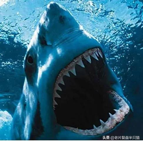 海底是什麼樣子？10部電影告訴你，“深海恐懼症”點開會後悔