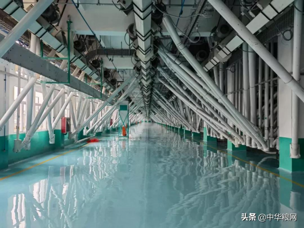 中國誕生世界上最大面粉車間!日加工小麥6000噸 中國誕生世界上最大面粉車間!日加工小麥6000噸