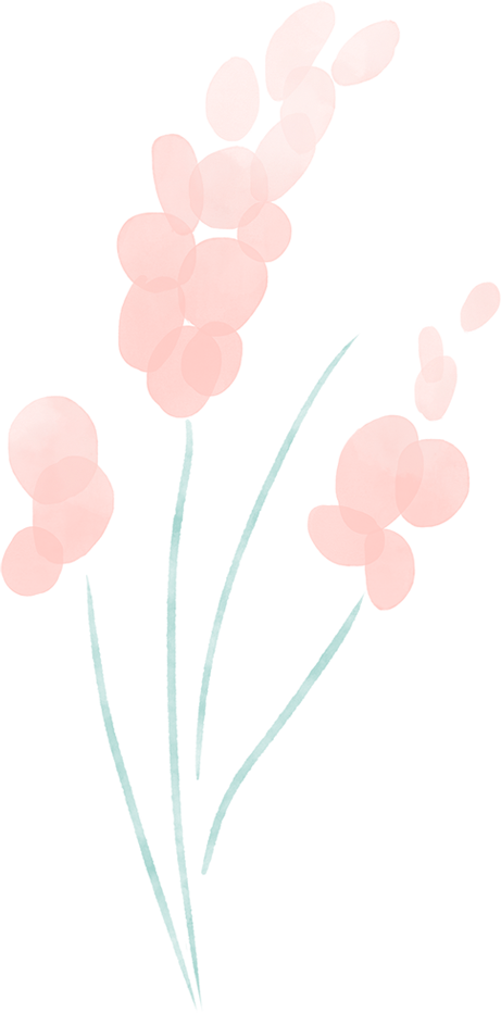 春寒料峭日，賞梅正當時