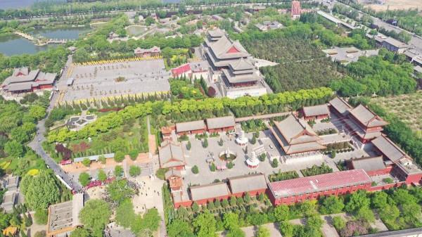 問我祖籍在何處，山西洪桐大槐樹