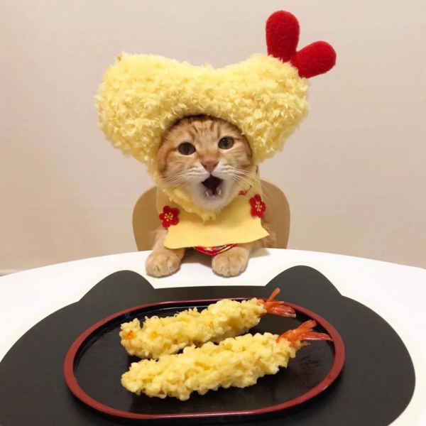 日本一鏟屎官把貓咪打扮成食物！網友：太可愛了！忍不住想吃掉