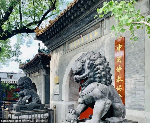 夏日避暑好去處!不出京也能享受清涼,還有免費的! 夏日避暑好去處!不出京也能享受清涼,還有免費的!