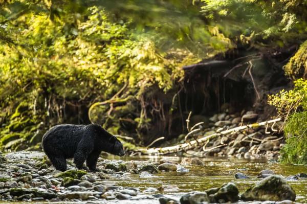 環球圖片精選（高畫質桌布）