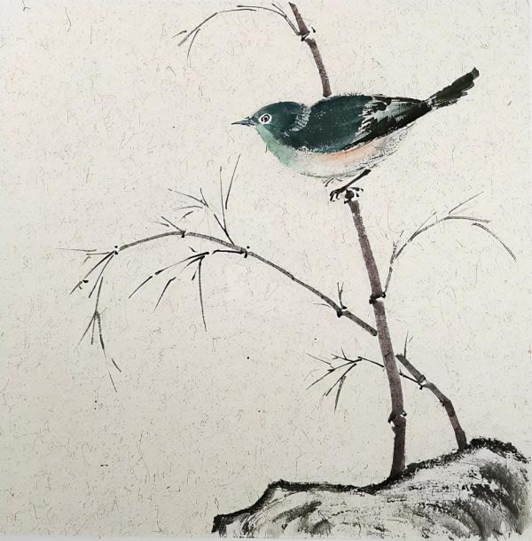 即將消失的中國養鳥文化:古代進貢皇家的繡眼鳥是暗綠還是紅肋? 即將消失的中國養鳥文化:古代進貢皇家的繡眼鳥是暗綠還是紅肋?