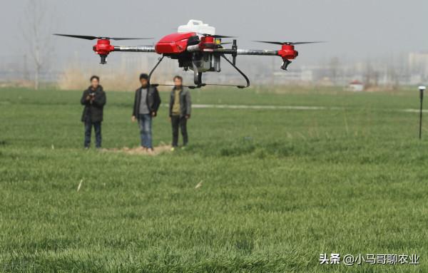 今年冬天小麥情況特殊，冬天能否打小麥田除草劑？需注意6點