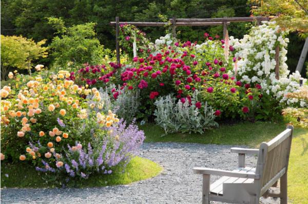 撒謊溜鬚拍馬哄騙皇帝的高手，看看與和珅相比哪個更厲害