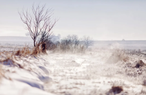 蘇俄紅軍的中國軍團之謎(十四)——“傳奇戰將”包其三(中) 蘇俄紅軍的中國軍團之謎(十四)——“傳奇戰將”包其三(中)
