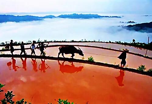 讓我們活得灑脫，笑得燦爛