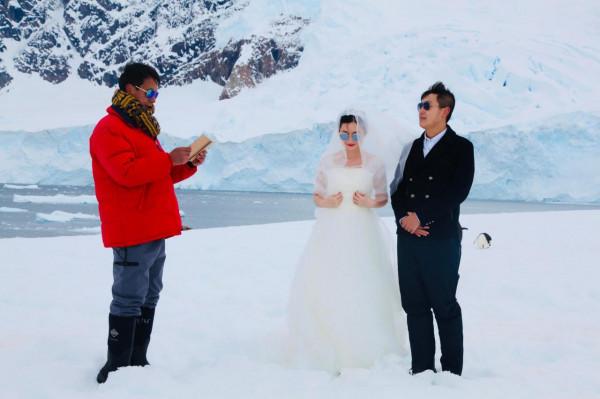 我們去南極結婚了 我們去南極結婚了