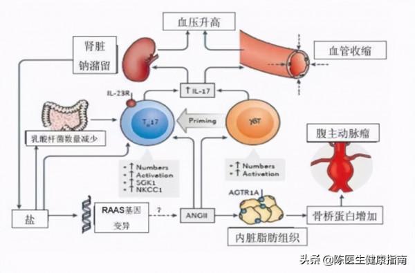高血壓也有疫苗，打一針就不用吃藥了？