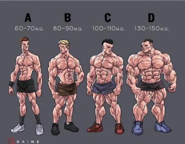 A、B、C、D 四種體重的體型，你更喜歡哪個？