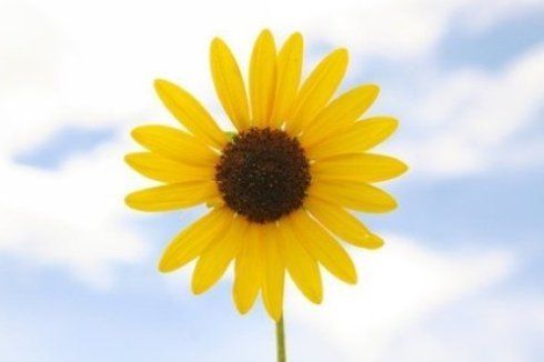 闢謠：月經期不能洗頭？看看你被騙了嗎