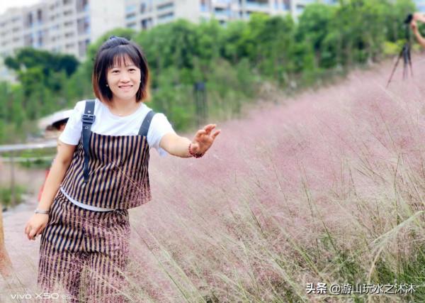 金秋與粉黛亂子草來一場夢幻的邂逅 金秋與粉黛亂子草來一場夢幻的邂逅