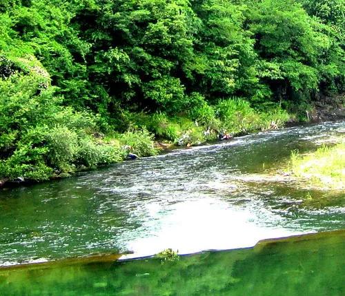 人生感悟：時光如水