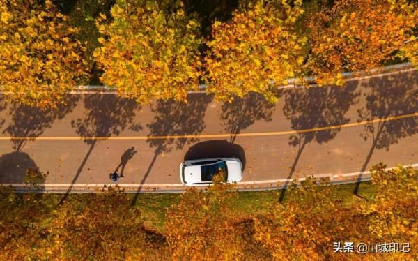 廣陽島初冬美景正式登場,驚豔整個冬天,快來更新桌布吧 廣陽島初冬美景正式登場,驚豔整個冬天,快來更新桌布吧