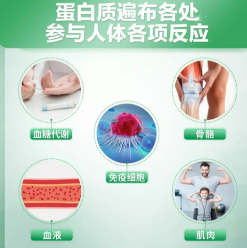 人到50歲要注意補充營養，這4種營養不能少