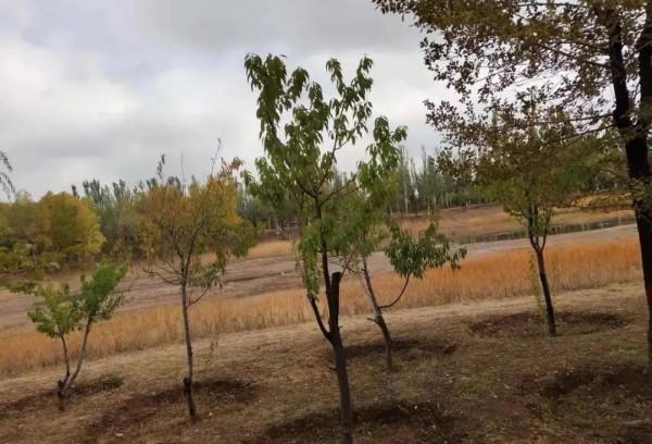 原創 | 秋日的私語-III故事集錦