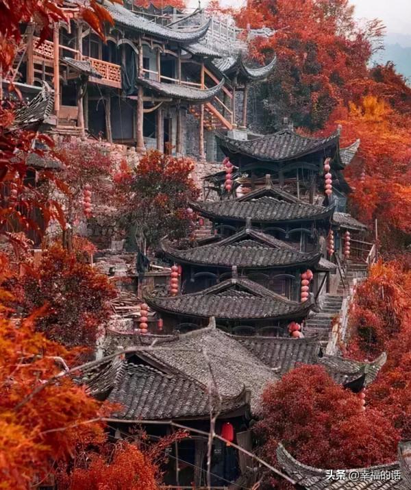 五彩繽紛的世界 五彩繽紛的世界