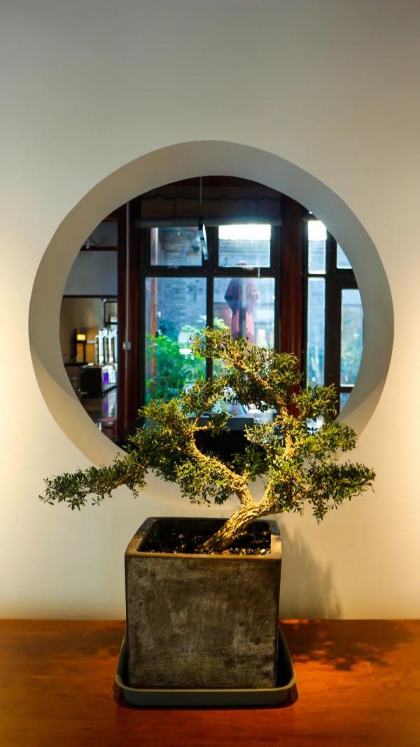 他山之“食”，可以攻“玉”，宋莊精品小鎮一日遊來啦！