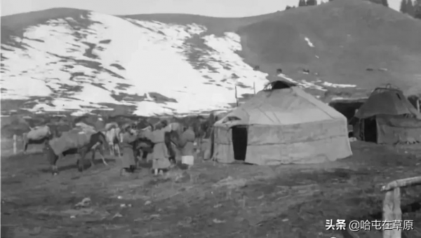 芬蘭元帥曼納海姆1906-1908年拍攝的新疆蒙古人