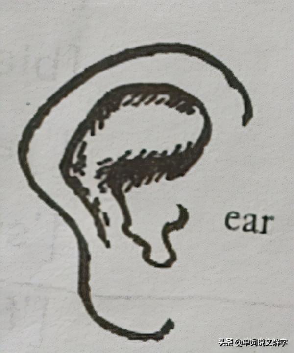 語言學家遺留下的“一分鐘學會22個單詞”的寶貴遺產,純乾貨 語言學家遺留下的“一分鐘學會22個單詞”的寶貴遺產,純乾貨