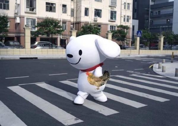 今天被一條狗狗治癒了不開心