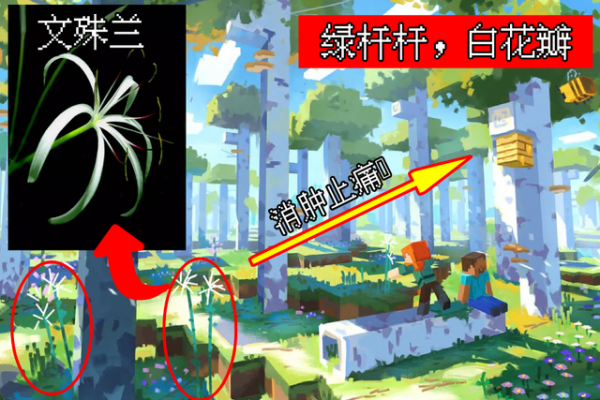 我的世界:1.19荒野會更新啥?藝術畫暗藏玄機,高大樺木群系升級 我的世界:1.19荒野會更新啥?藝術畫暗藏玄機,高大樺木群系升級