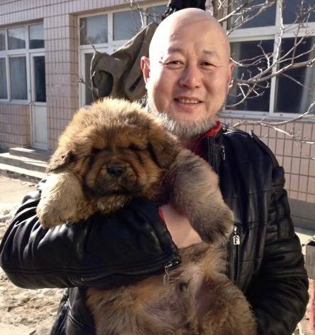 “優質偶像”淪為“過街老鼠”：人前有多優質，背後就有多渣