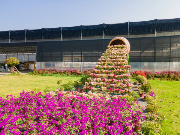 草莓、青棗、甘蔗等果物上新！快約好友一起過甜蜜新春