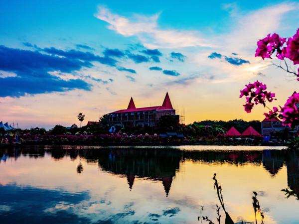 為什麼粵龍山被稱為三角梅王國？