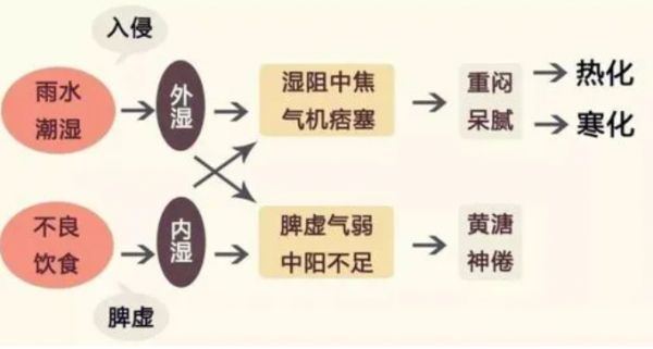 陽氣不足的人，身體有2處明顯特徵，肉眼可見，應對也很簡單