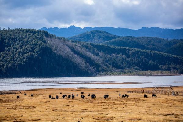 住進遺落人間的天堂 哈弗M6 PLUS生活記
