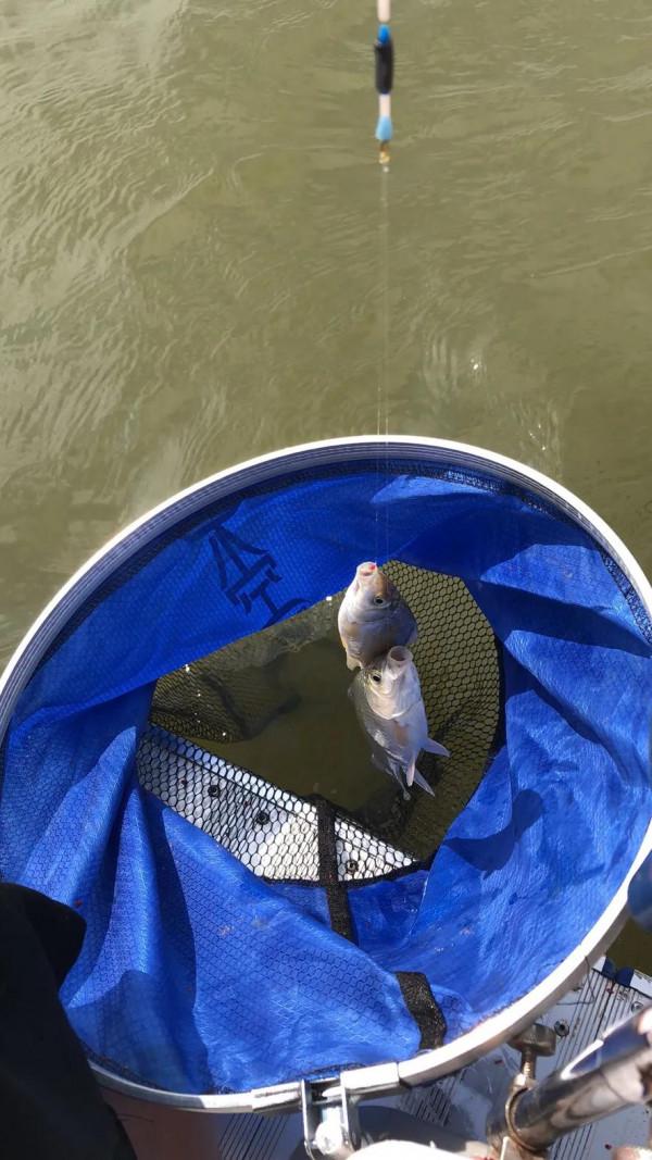 連竿！爆護！！！衝啊啊哈哈